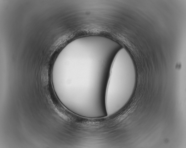 X0000096490638200801241211