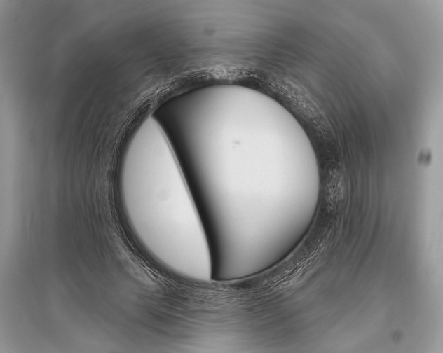 X0000096490639200801241211