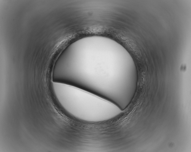 X0000096490640200801241211