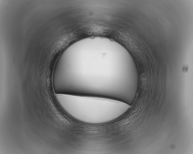 X0000096490642200801241211