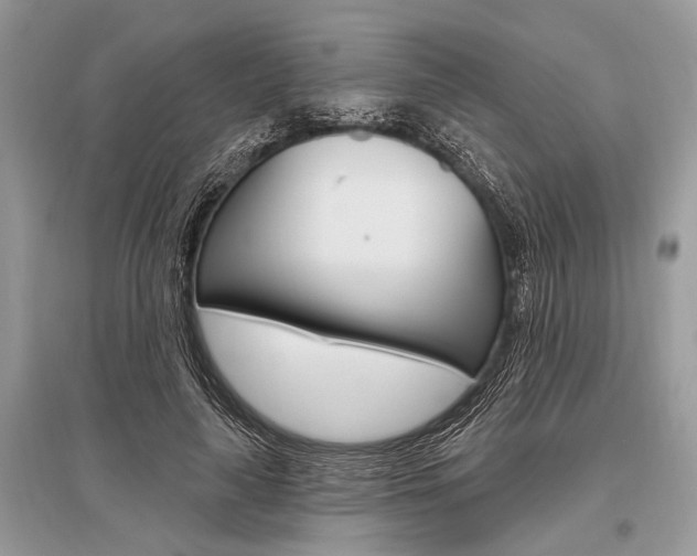 X0000096490643200801241211