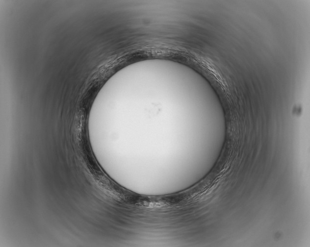 X0000096490645200801241211