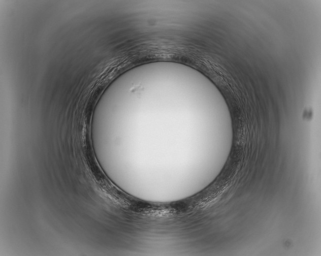 X0000096490646200801241211