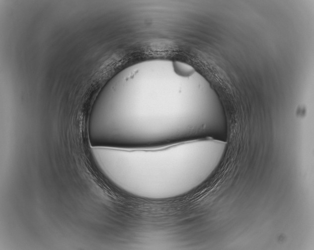 X0000096490647200801241211
