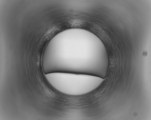 X0000096490648200801241211
