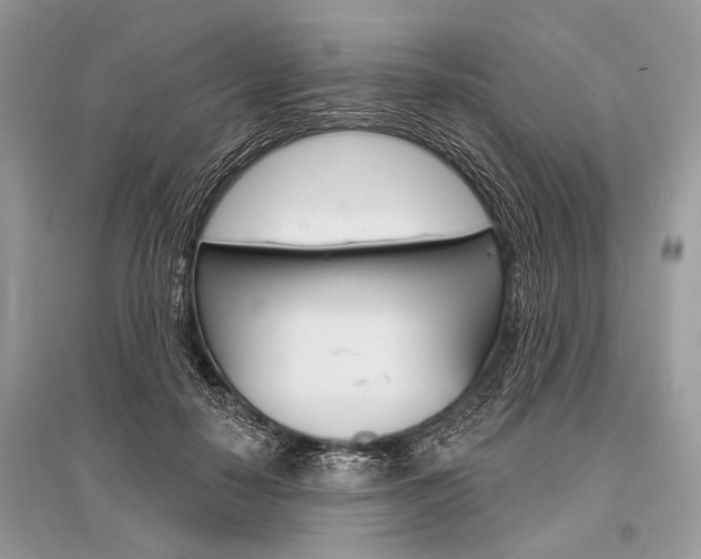 X0000096490650200801241211
