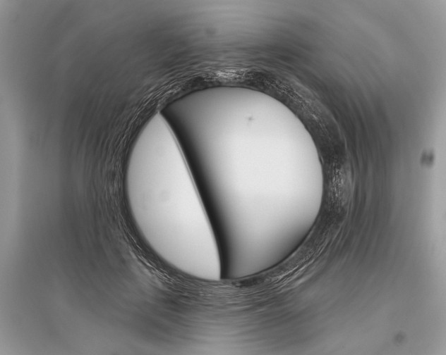 X0000096490651200801241211