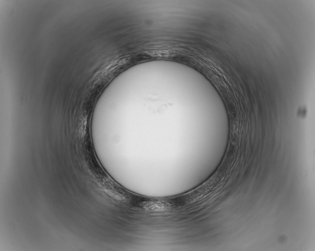 X0000096490652200801241211