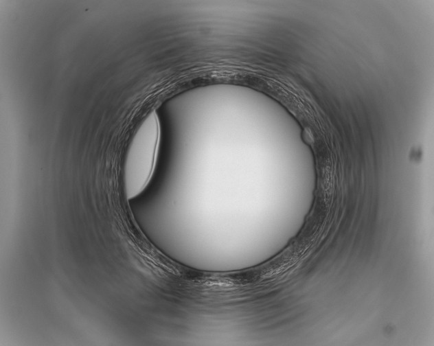 X0000096490653200801241211