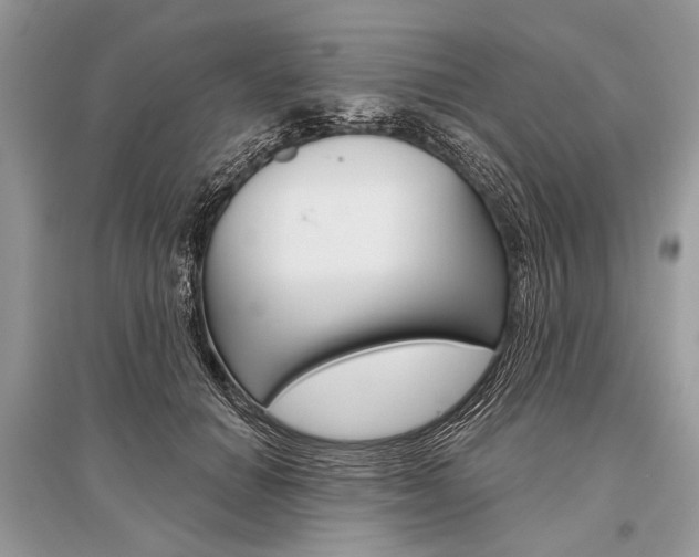 X0000096490654200801241211