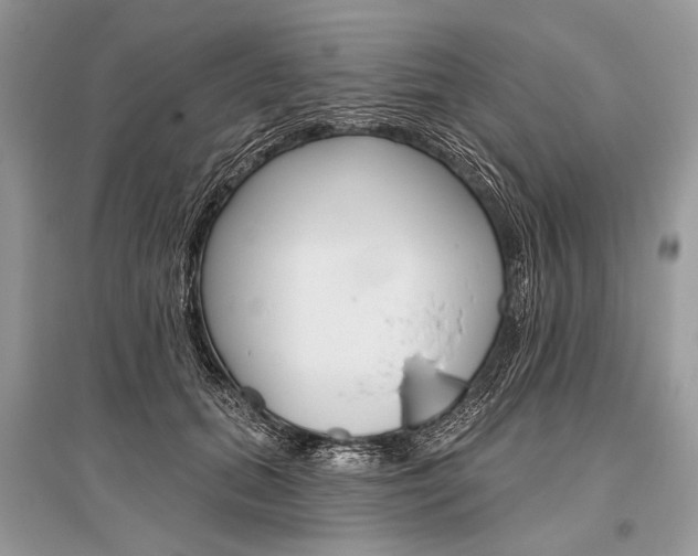X0000096490655200801241211