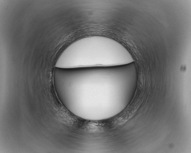 X0000096490657200801241211