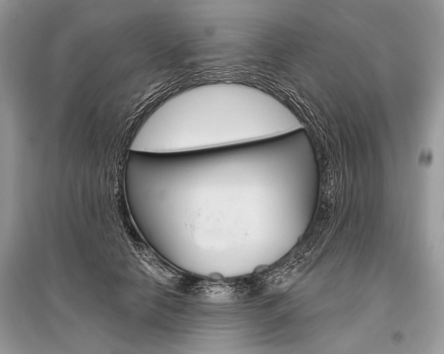 X0000096490658200801241211