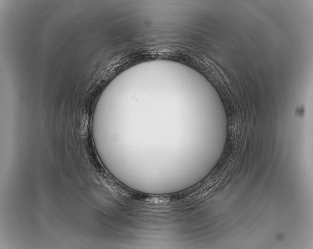 X0000096490660200801241211