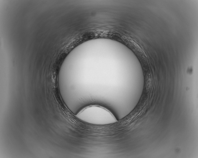 X0000096490661200801241211