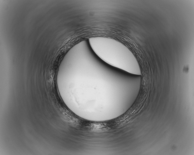 X0000096490662200801241211