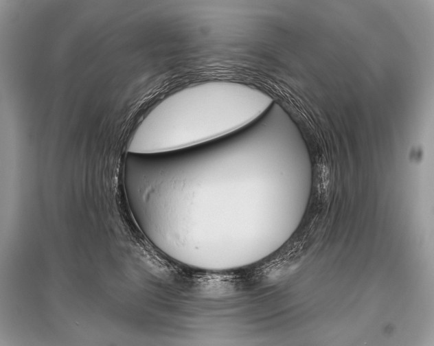 X0000096490664200801241212