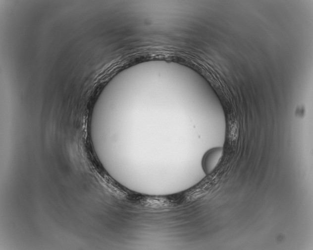 X0000096490666200801241212