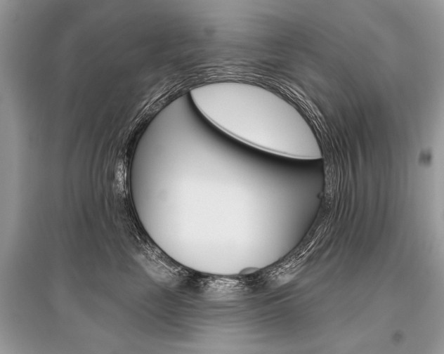 X0000096490669200801241212