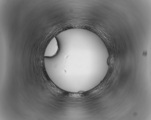 X0000096490671200801241212