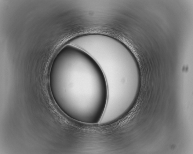 X0000096490673200801241211