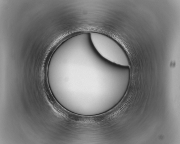 X0000096490674200801241211