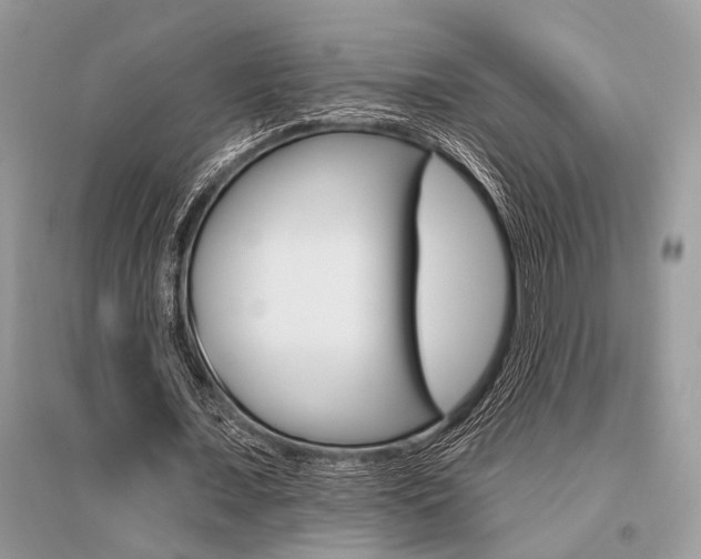 X0000096490675200801241211