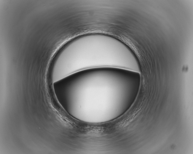 X0000096490676200801241211
