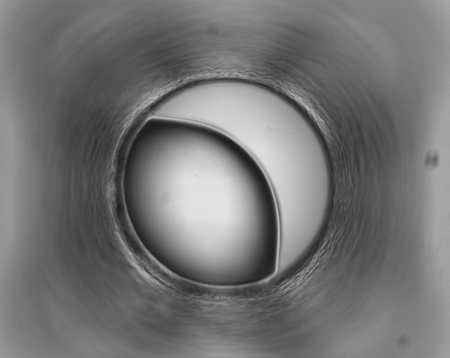 X0000096490677200801241211