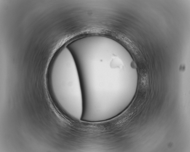 X0000096490678200801241211