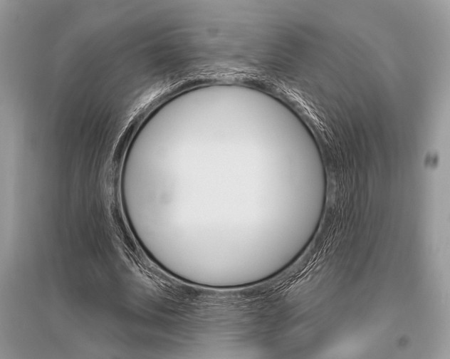 X0000096490679200801241211