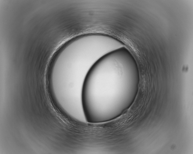 X0000096490680200801241211