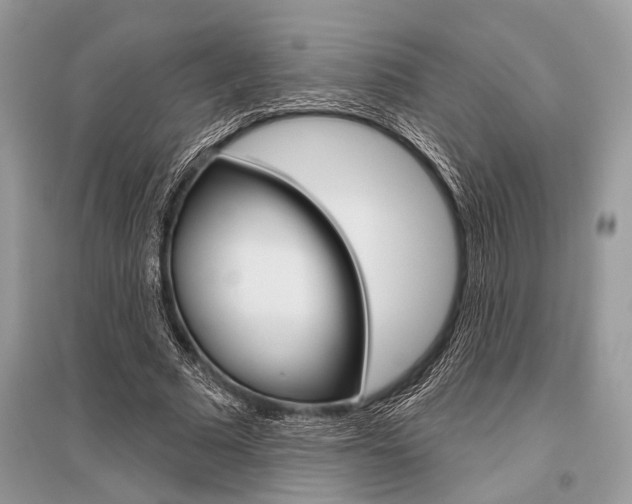 X0000096490681200801241211