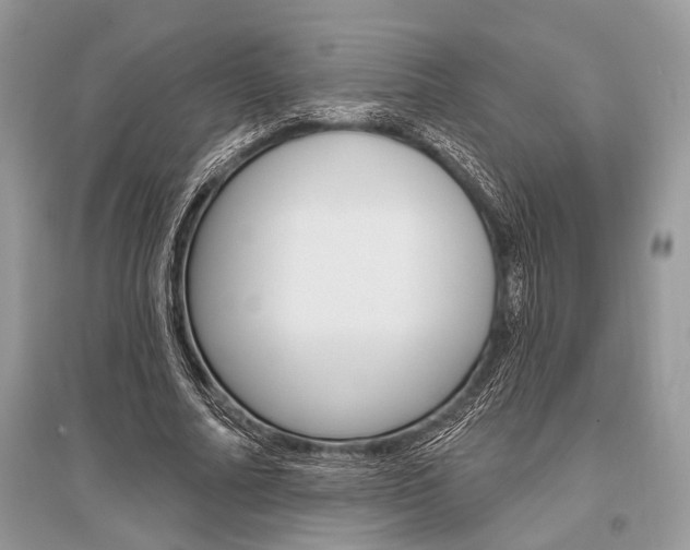 X0000096490682200801241211