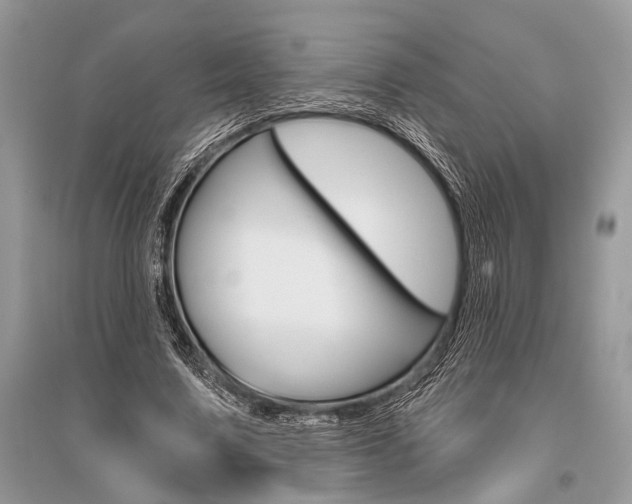 X0000096490683200801241211