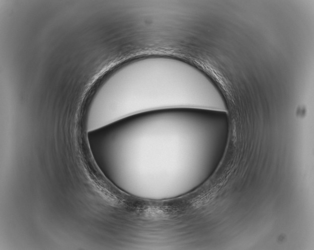 X0000096490684200801241211