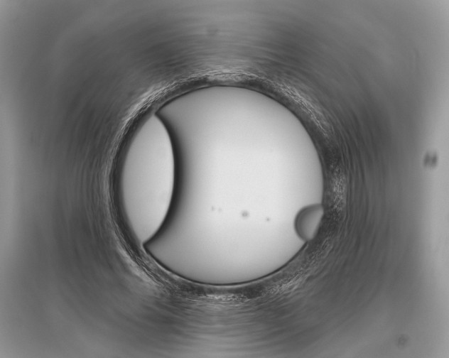 X0000096490686200801241211