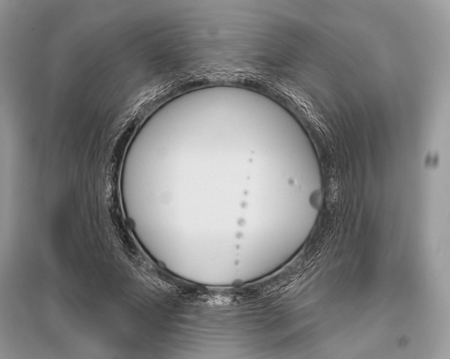 X0000096490687200801241211