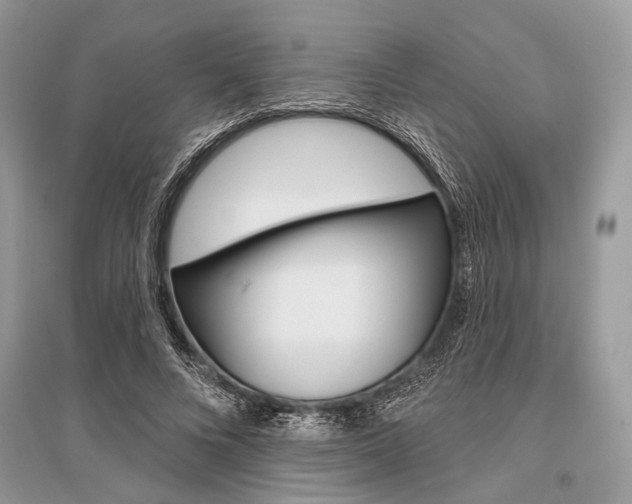 X0000096490688200801241211