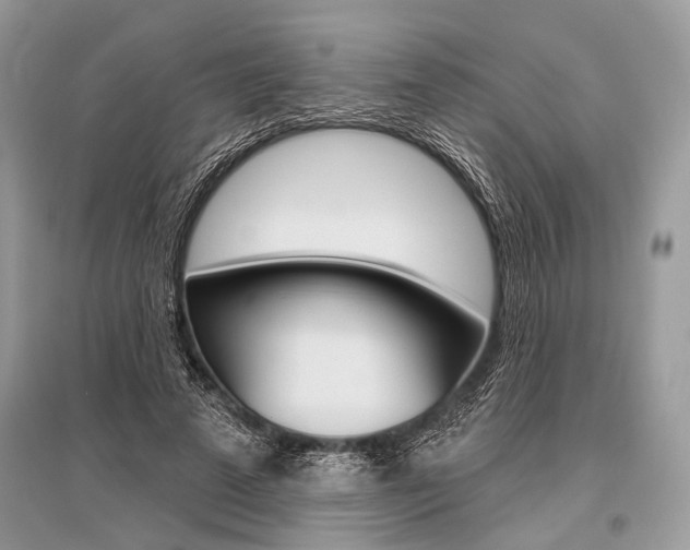 X0000096490689200801241211