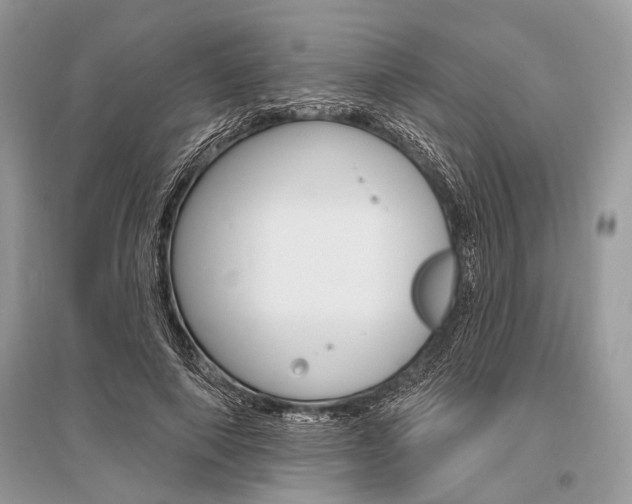 X0000096490690200801241211