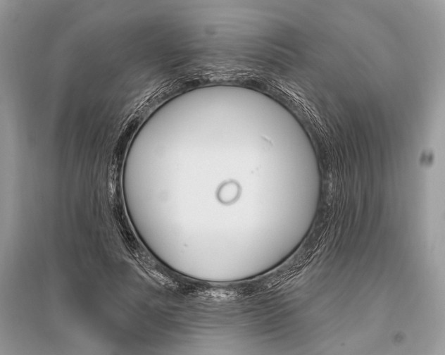 X0000096490691200801241211