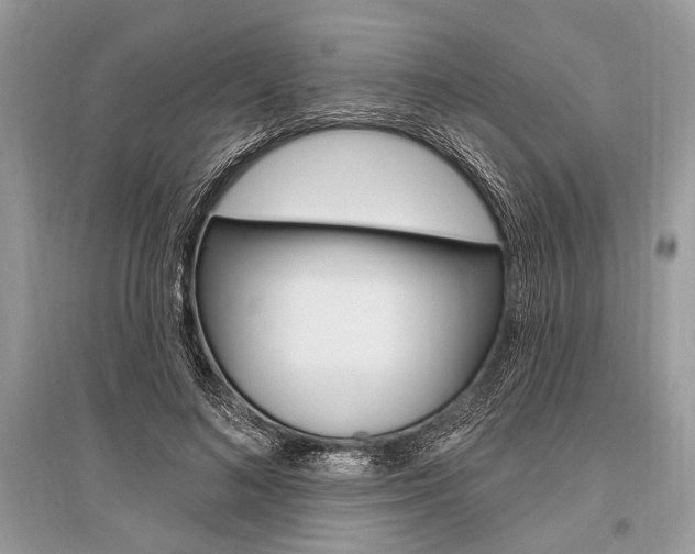 X0000096490692200801241211