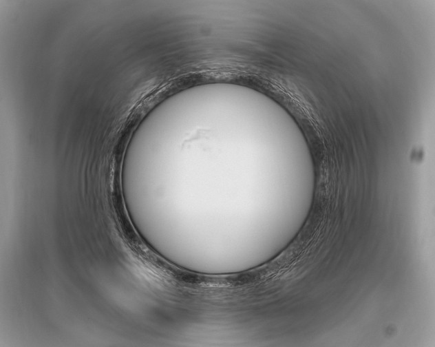 X0000096490694200801241211