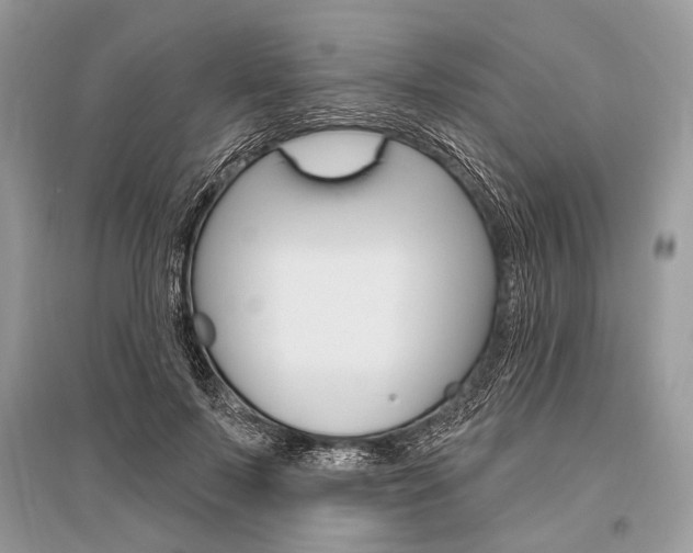 X0000096490695200801241211