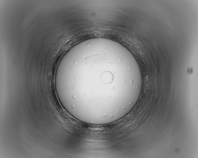 X0000096490698200801241211