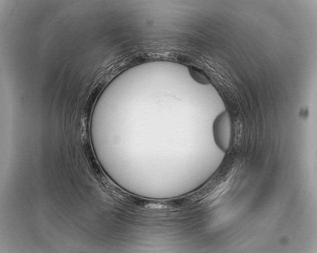 X0000096490699200801241211