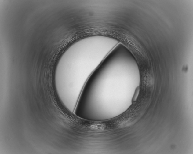 X0000096490700200801241210