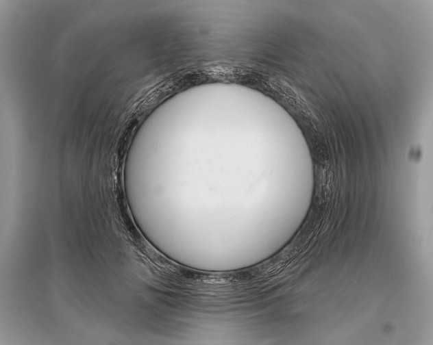 X0000096490702200801241210