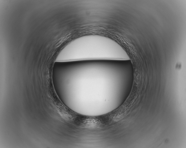 X0000096490704200801241210